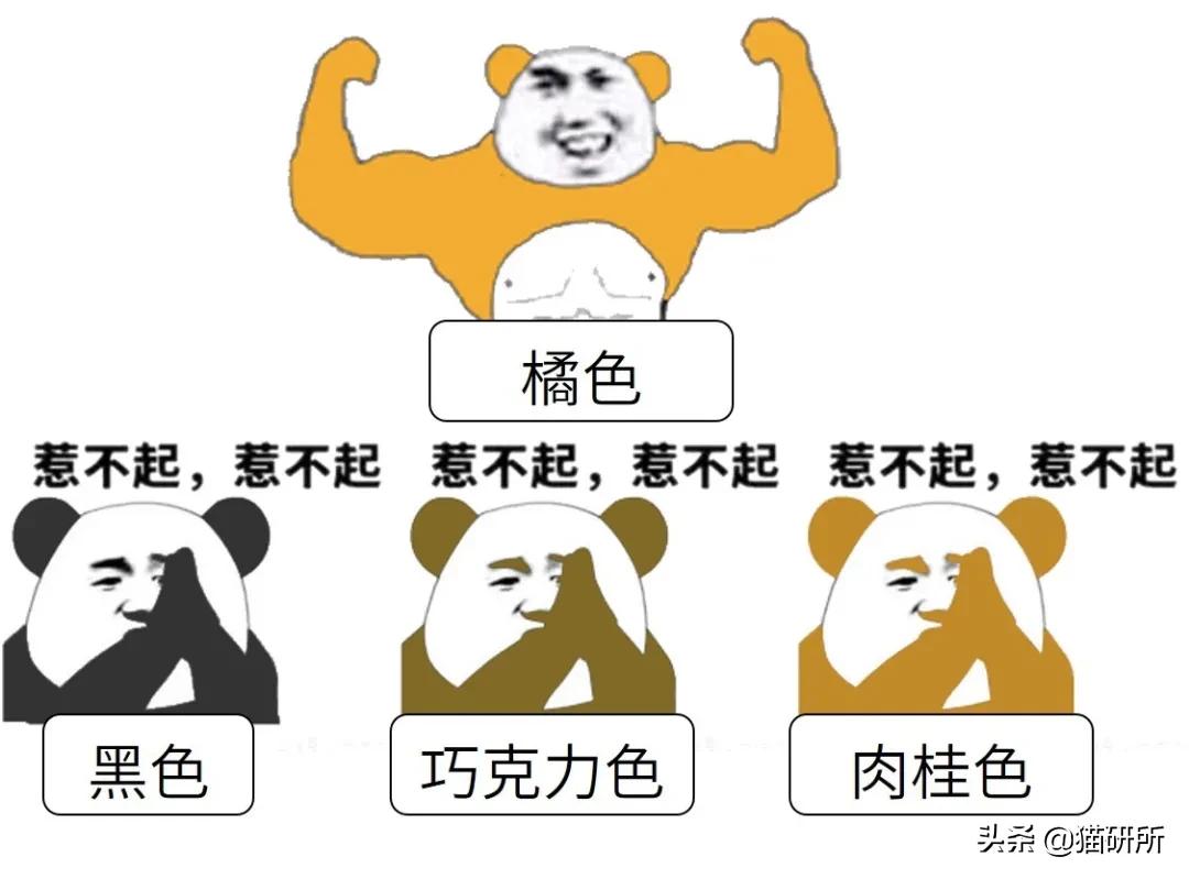 猫咪身上不同的味道代表什么,为什么猫咪的眼睛有不同颜色