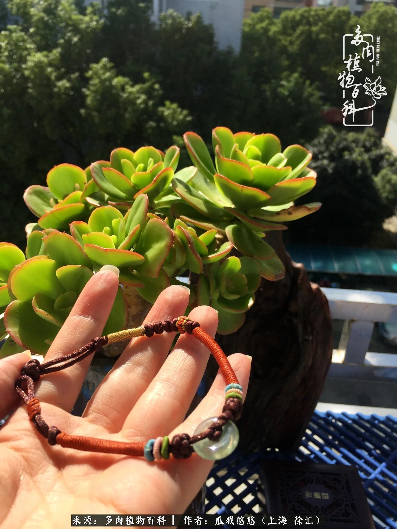 享受岁月,享受岁月静好歌曲原唱