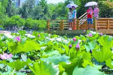 不出郑州旅游攻略,郑州五一游玩公园推荐