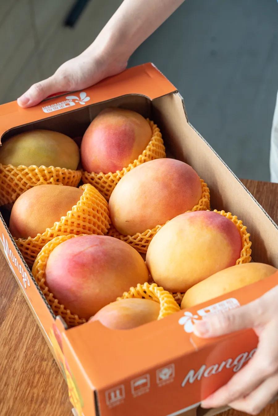 costco会员卡为啥299,199costco卡怎么办