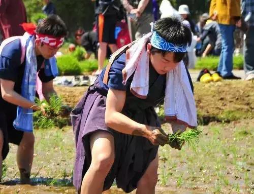 相差50年！“变态”的日本农业震撼中国农业经营者！引起轰动……