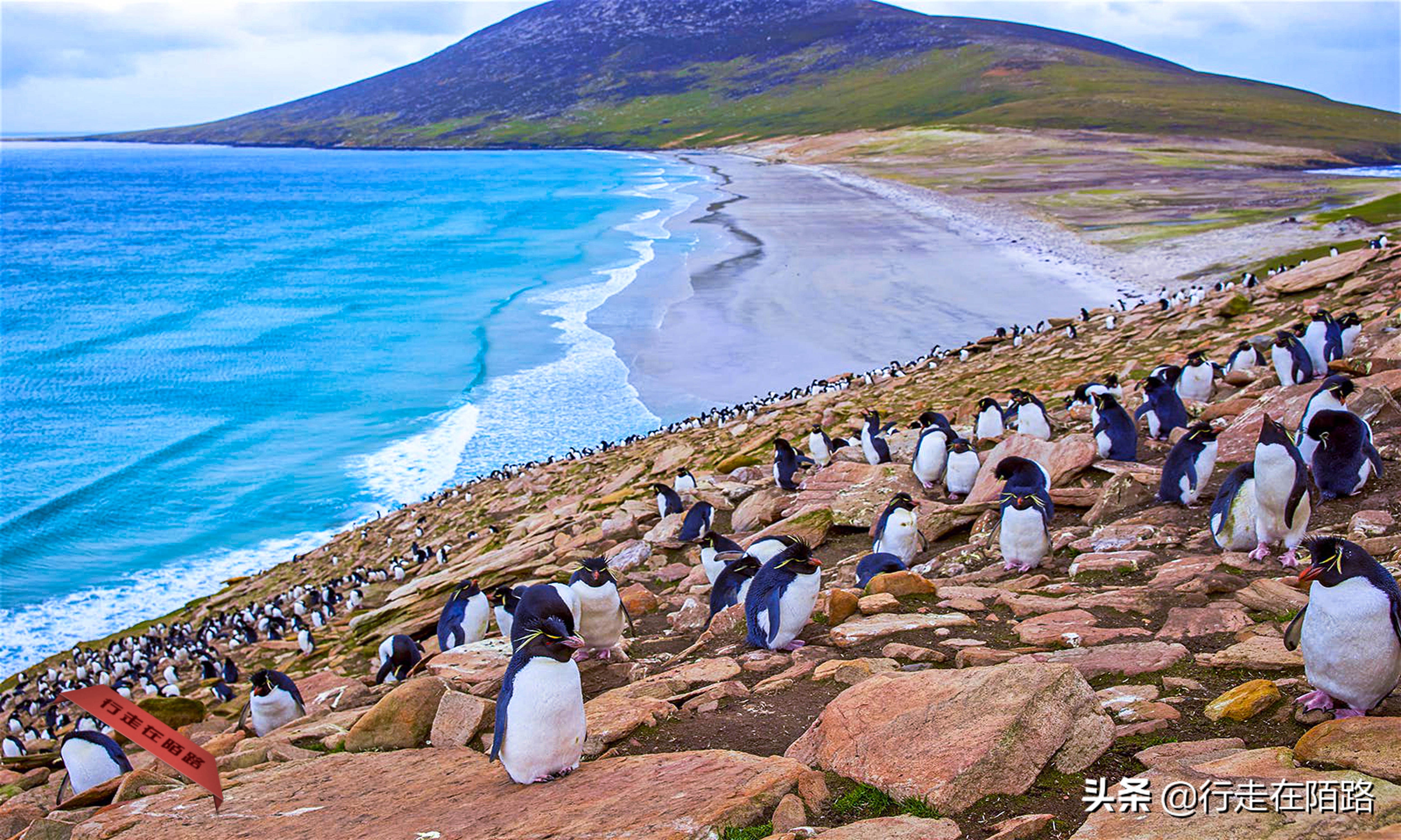 赔本战争：44艘战舰奔袭1.3万公里，耗资12亿却不是赢家