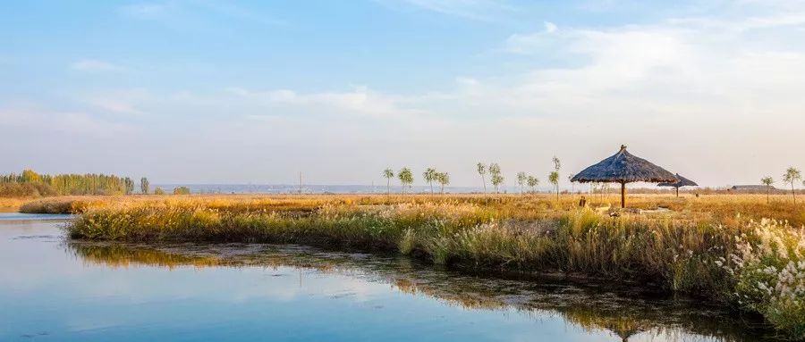 近期郑州出发特价机票,2021郑州特价机票