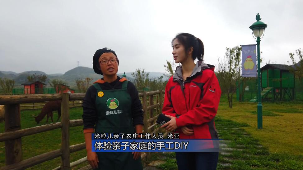 打卡金鸡山霞贯农庄,金鸡农场田园风光