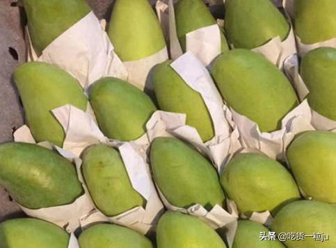 催熟芒果最好的方法,高乐蜜芒果没熟透怎么催熟
