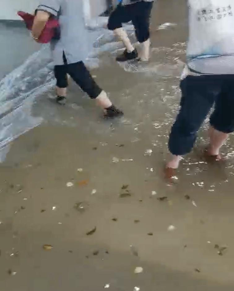 洪水之后需要注意的地方,洪水容易造成什么皮肤病