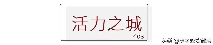 茂名这座城市被誉为什么城,茂名是一座怎样的城市