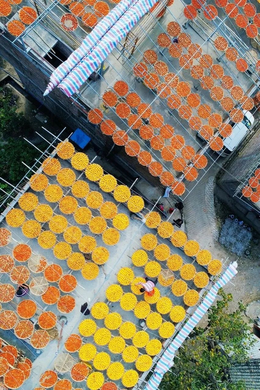 青白江不修地铁是真的吗,青白江不通地铁是地理原因吗