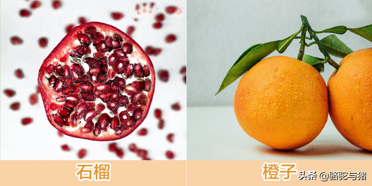 苹果果核里有氰化物,果核含氰