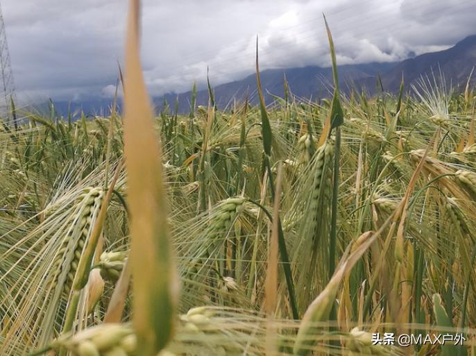 川藏线山南探幽,骑行西藏之旅感悟