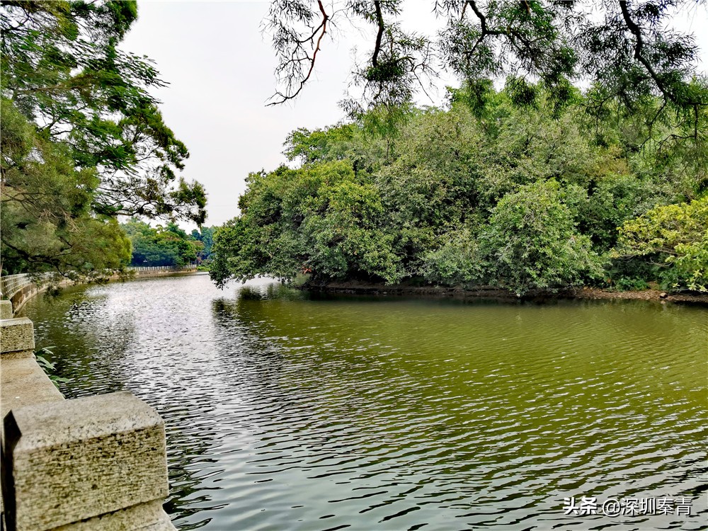 深圳老牌东湖公园,东湖公园的景区