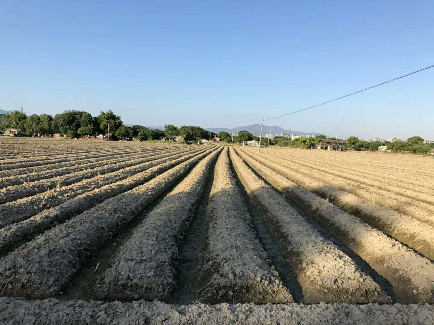 提婆达多的因果,提婆达多和提婆达多
