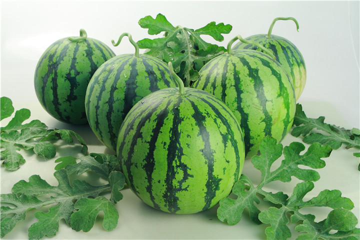 西瓜根腐病早期症状,西瓜重茬根腐病防治