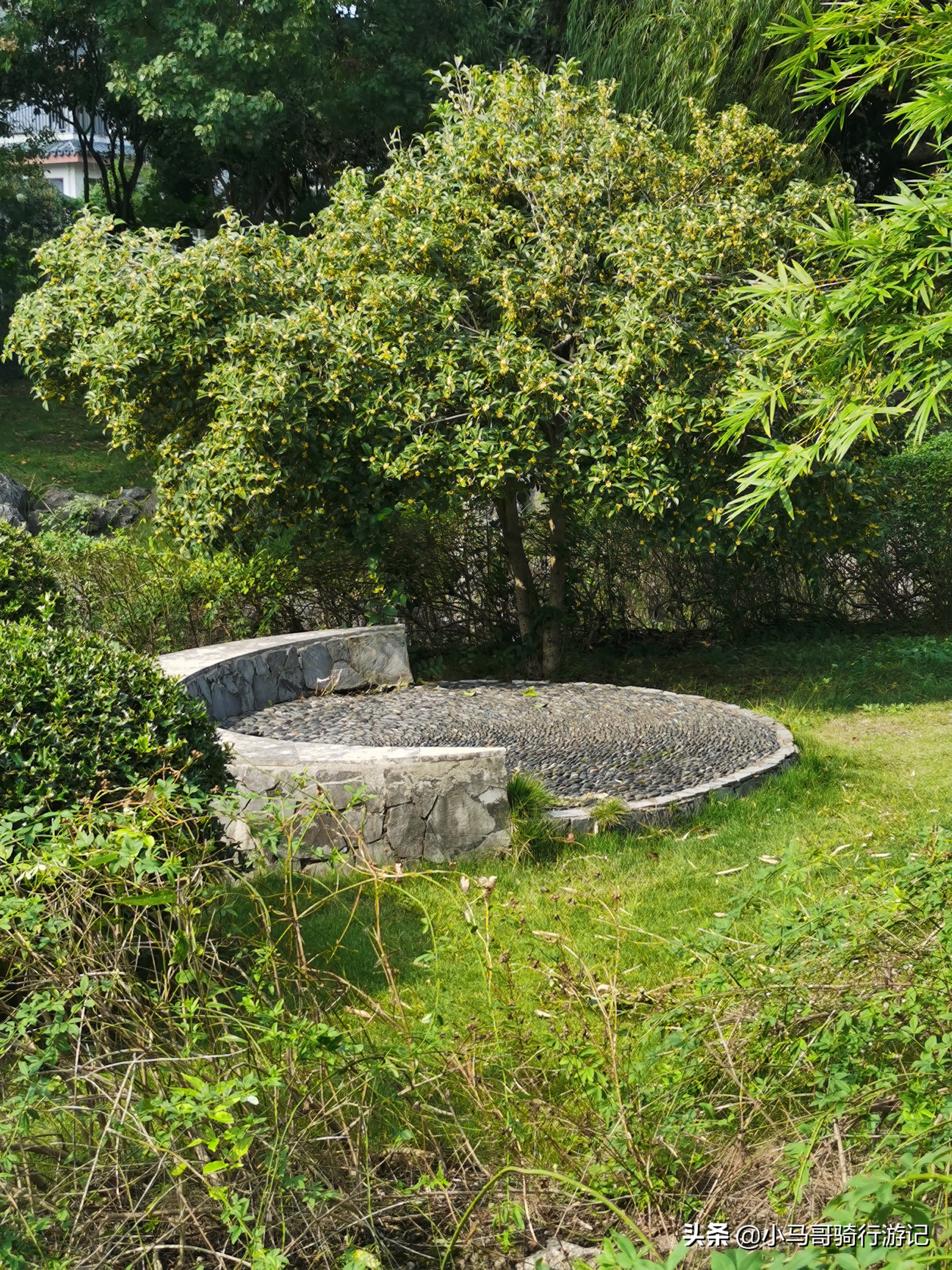 苏州盘门旅游攻略,苏州盘门三景旅游攻略