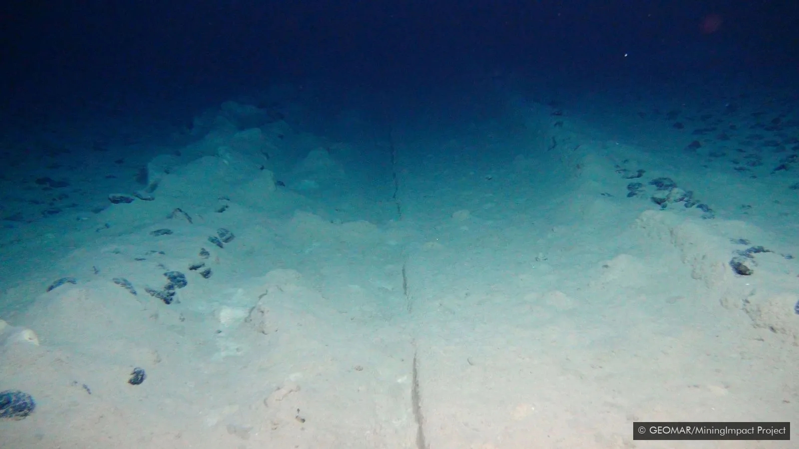 海底5000米发现神秘史前怪物,海底发现5500米的生物