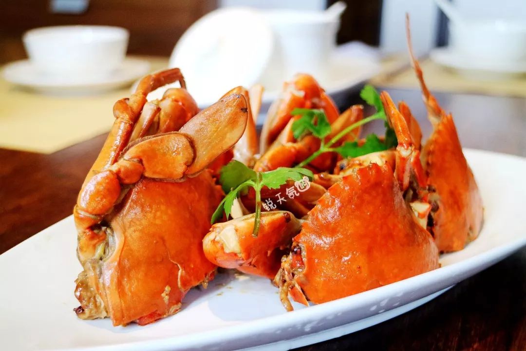 不一样的厦门,不一样的厦门环岛路