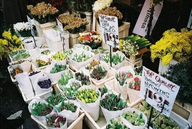 新手如何开一家网上花店,如何开一个小型的花店赚钱