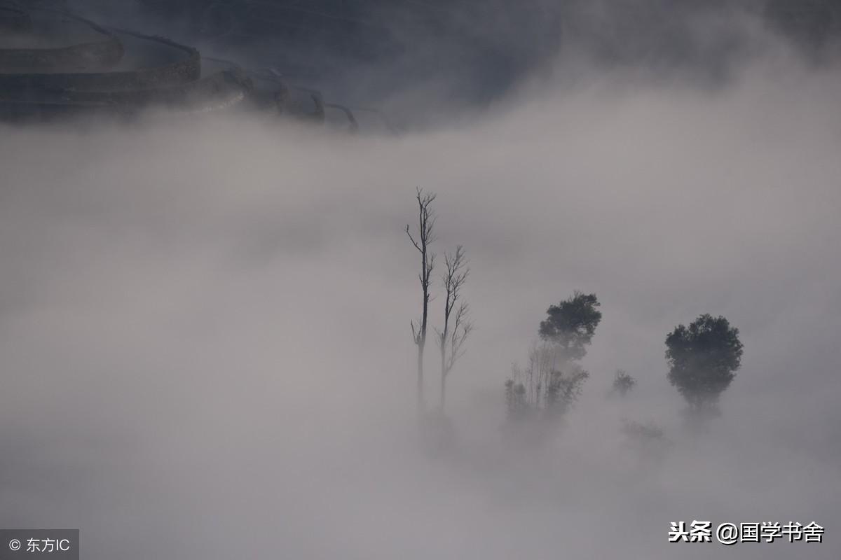 被人诽谤也是一种仰望,被人诽谤了该如何面对