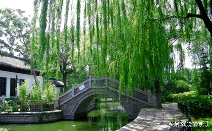 「黎明拾穗」43期诗词41首,首页篇篇造网红,风流戏子逞英雄