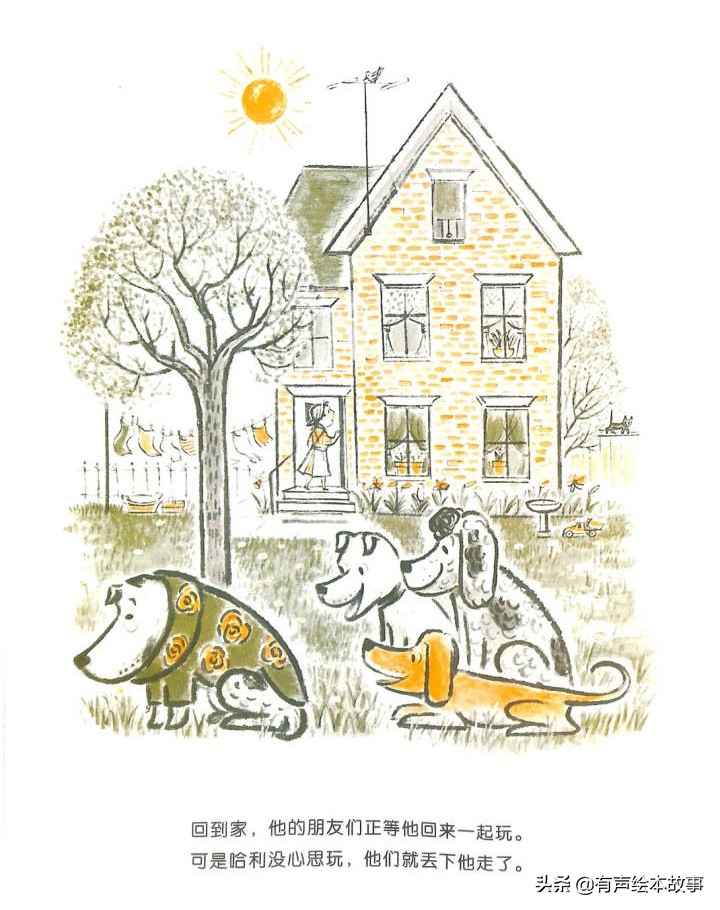 儿童故事哈利的花毛衣,哈利不可以有声绘本故事