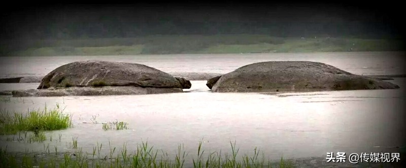 自驾游江津石蟆中坝岛,江津石蟆中坝岛甘蔗林