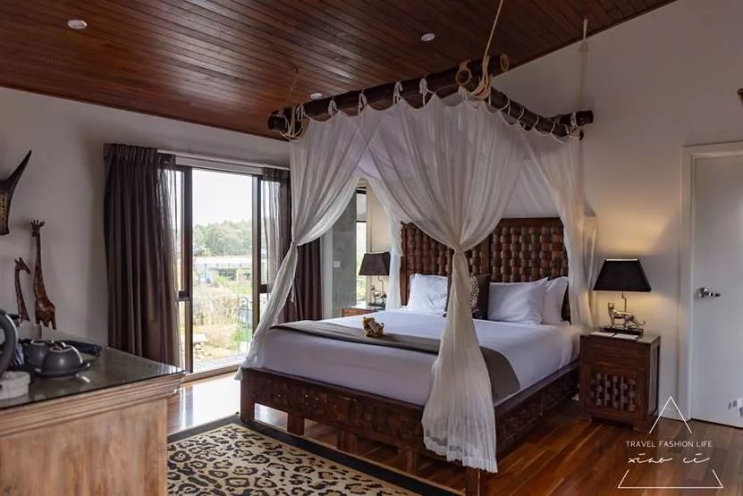 澳洲|春意堪培拉,看袋鼠、品酒、赏花、住进动物的家