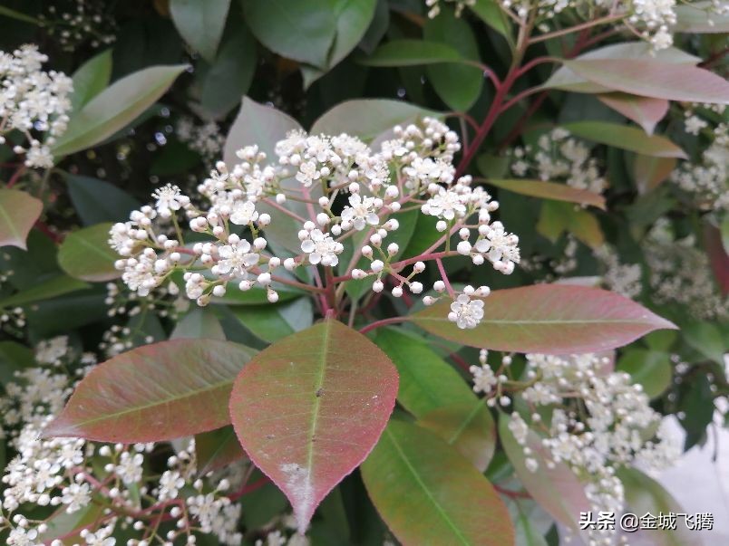 镇江适合生活的城市,镇江是一个好地方吗