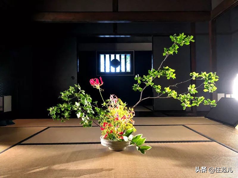 知否知否宋代装修,知否房子装修