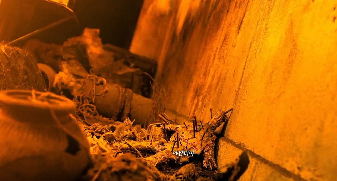 2021必看十大恐怖片灵媒系列,恐怖片灵媒电影解说