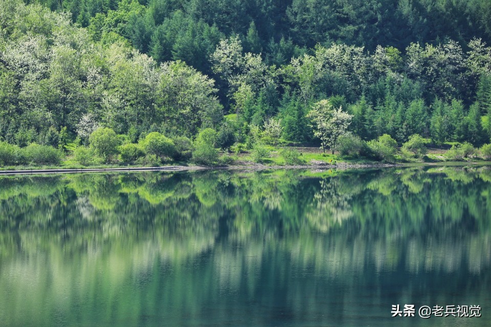 有一种旅行，叫去桓仁看绿