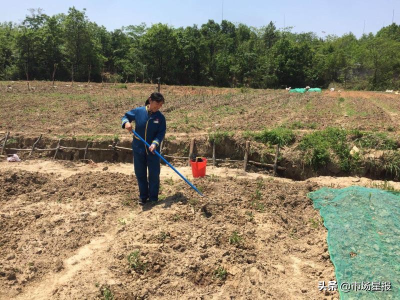 小额贷款助贫困户创业致富,扶贫小额贷款助力贫困户