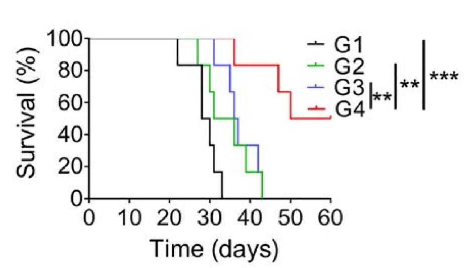 浙大药学院院长顾臻,液氮冷冻治疗干细胞