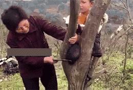 爸爸吸烟怎么治他才不吸烟,爸爸爱抽烟喝酒怎么办