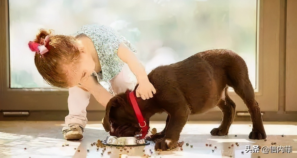 冬日暖汤给家人,寒冷的冬日需要一杯热茶