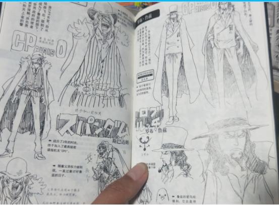 海贼王书籍推荐,海贼王怎么推荐新人看