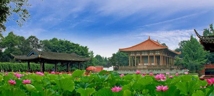 你好，我叫郫都，这是我的最新简历