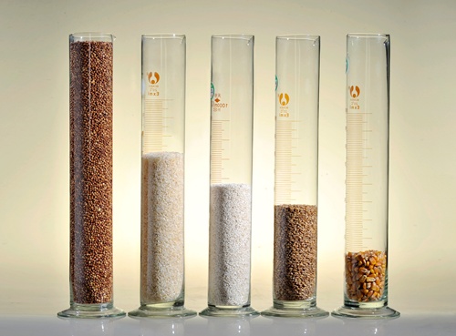 密集夺冠!五粮浓香系列酒闪耀多个国家级白酒评选活动