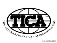 猫怎么注册血统,猫咪基础知识