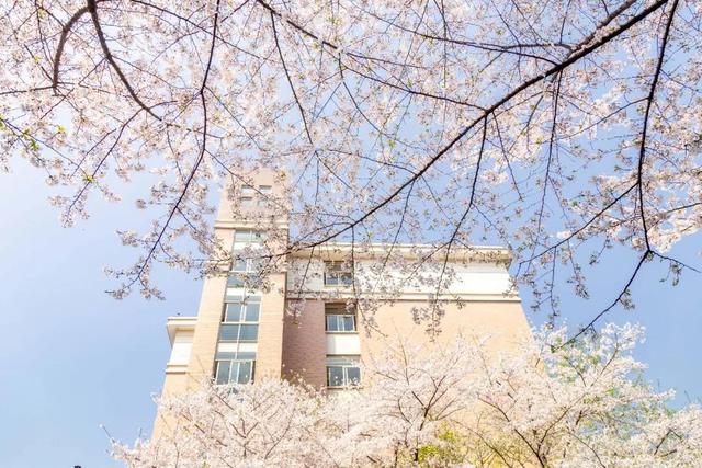 宅家又如何?翻开相册!浙大学子带你进行回忆式线上旅游!