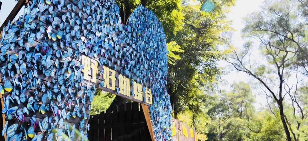 厦门夏令营走进大自然活动,厦门广电研学夏令营