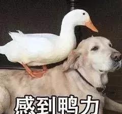 第一瓶大牌粉底液油皮,第一粉底液测评