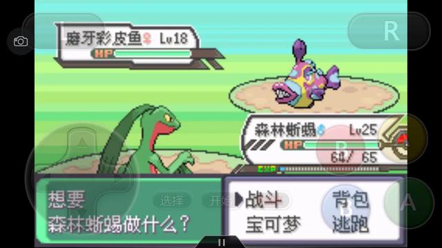 究极绿宝石一周目神兽攻略 (究极绿宝石5一周目能不能mega进化)