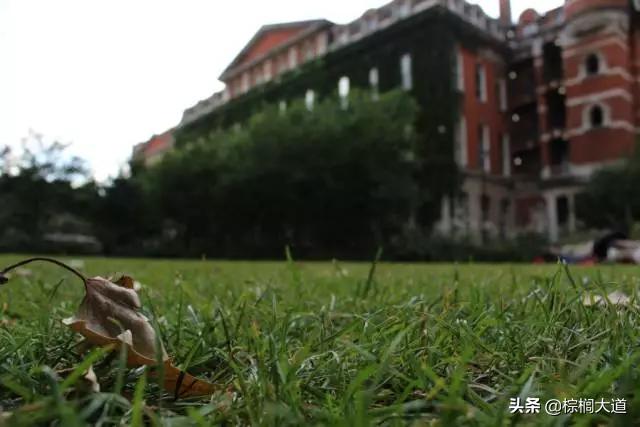 棕榈大道留学一般要多少钱,伦敦国王学院课程实录