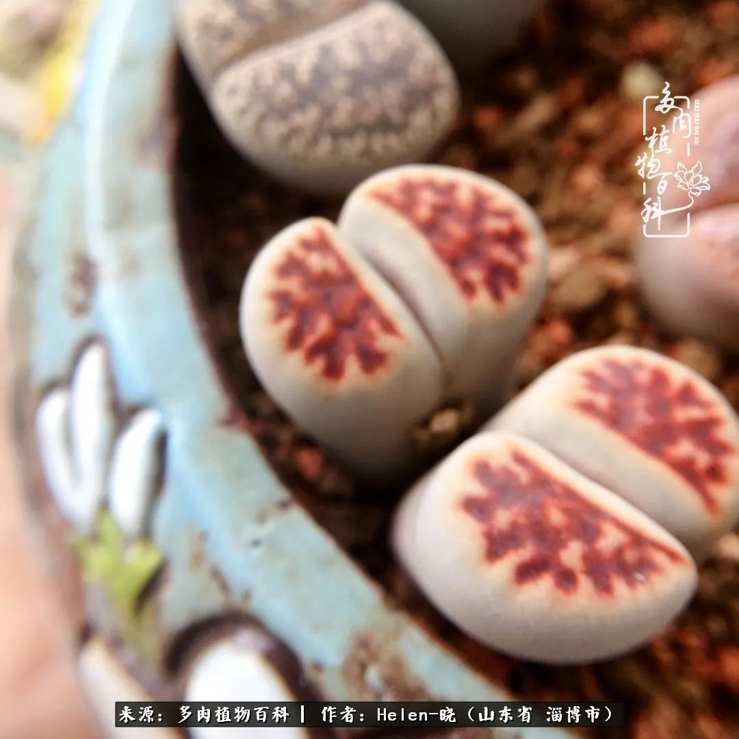 人到中年温暖如初,人到中年岁月静好