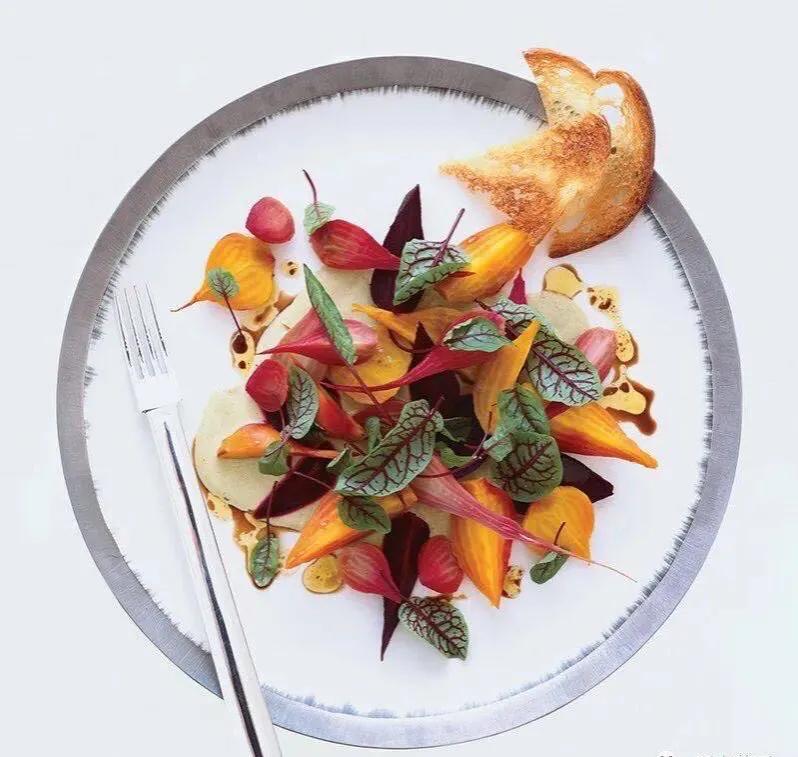 观花草本植物推荐,最具观赏性的观叶植物