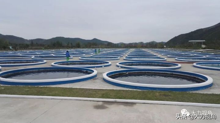 收藏海参干货,朝鲜有哪些有收藏价值的东西