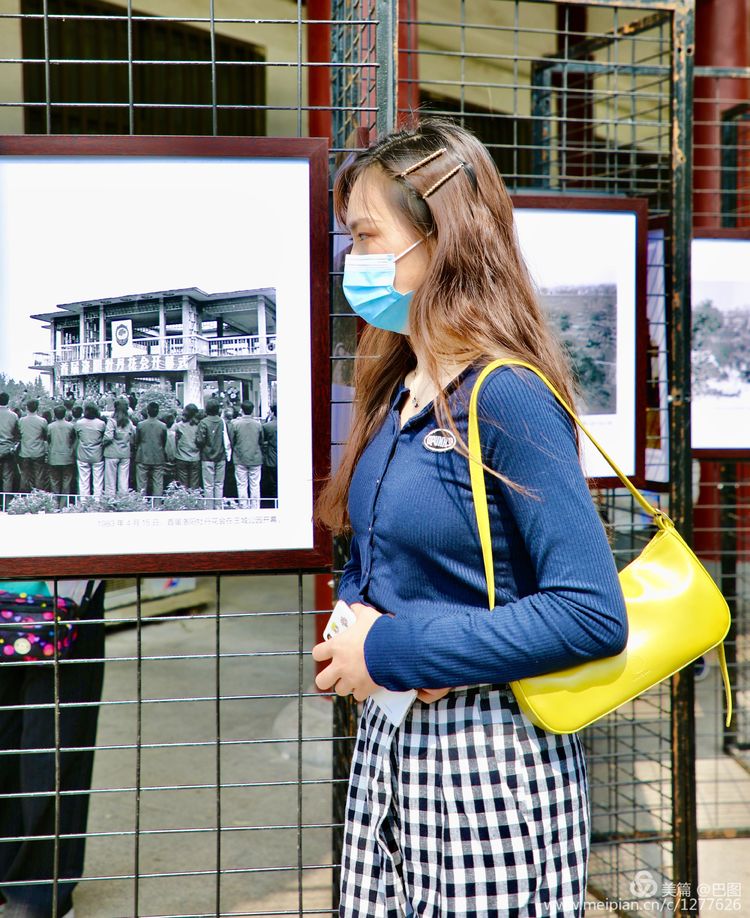 看洛阳牡丹花卉节,洛阳古都牡丹花展