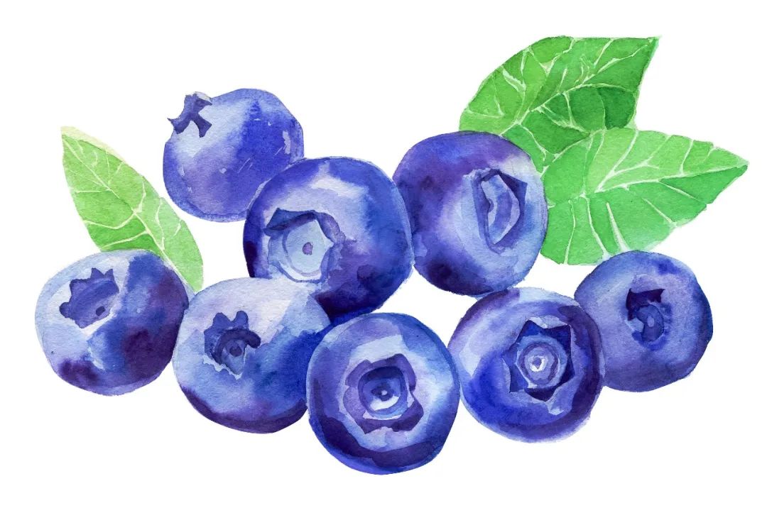 如何养成不长斑的皮肤,老了有什么办法不长斑