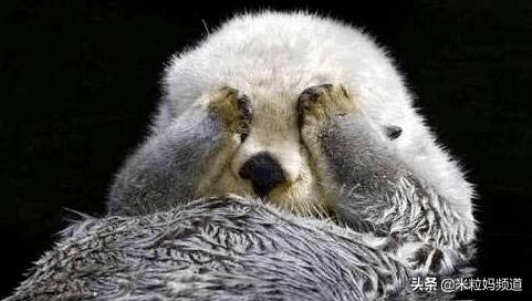 年度惊喜电影,8部科普必看的动画片