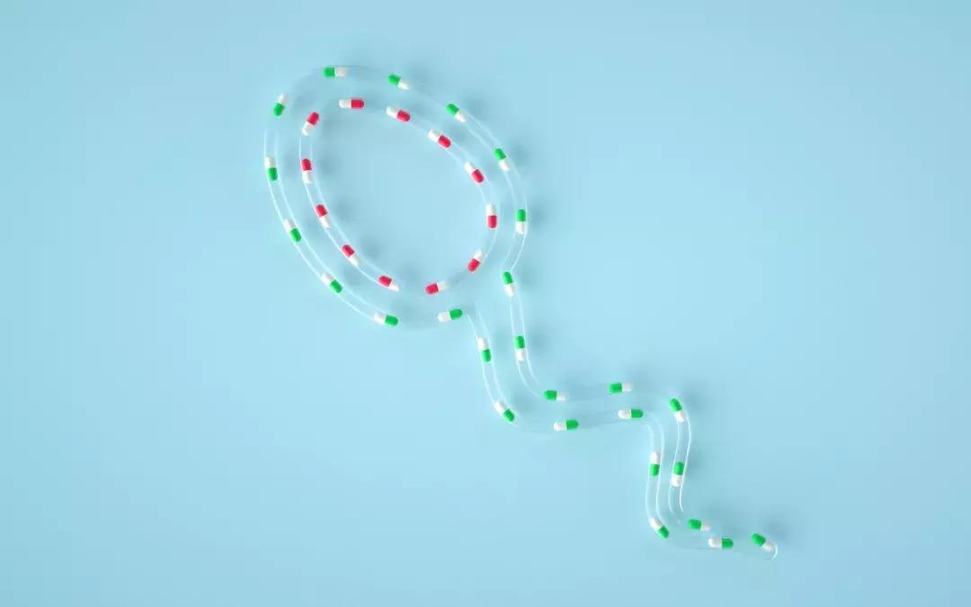 备孕养小蝌蚪吃什么食物,备孕期怎么养小蝌蚪呢